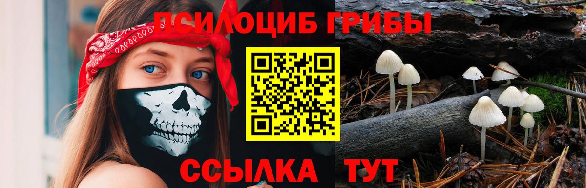 Галлюциногенные грибы Psilocybe  Вход с VPN  цены   Соликамск 